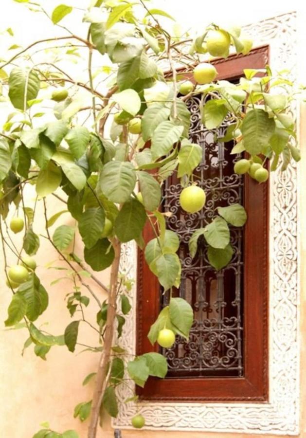 Riad Dar Rania Marrakech Medina Jemaa El Fna Marrakesh Exterior foto
